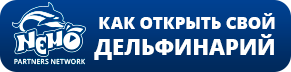 Як відкрити свій дельфінарій